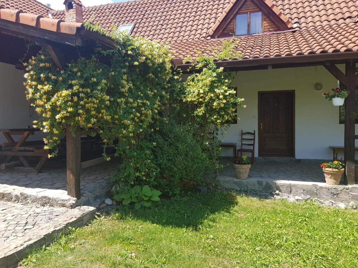 Vila Sura Razoare Sighisoara Exterior photo