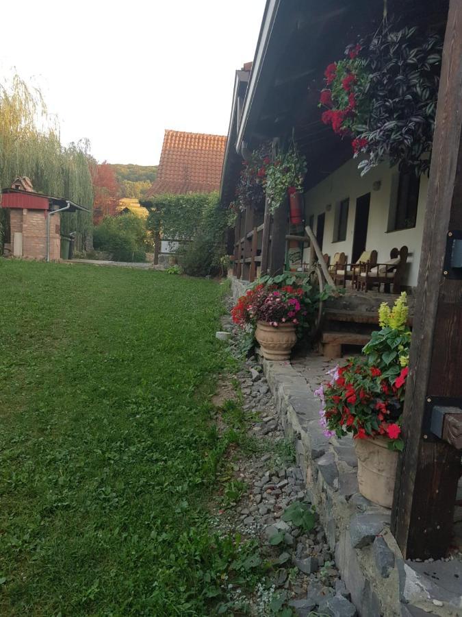Vila Sura Razoare Sighisoara Exterior photo