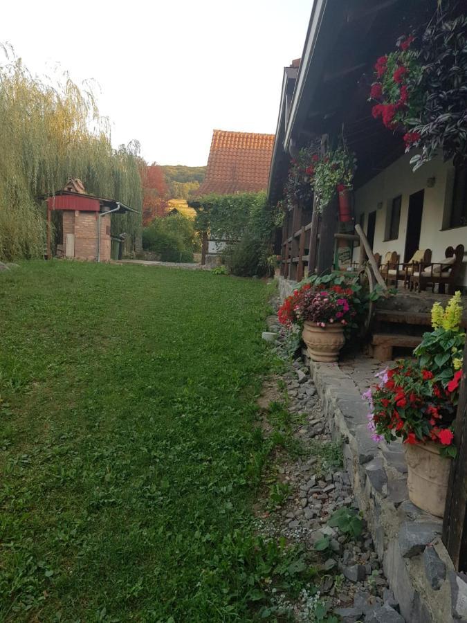 Vila Sura Razoare Sighisoara Exterior photo