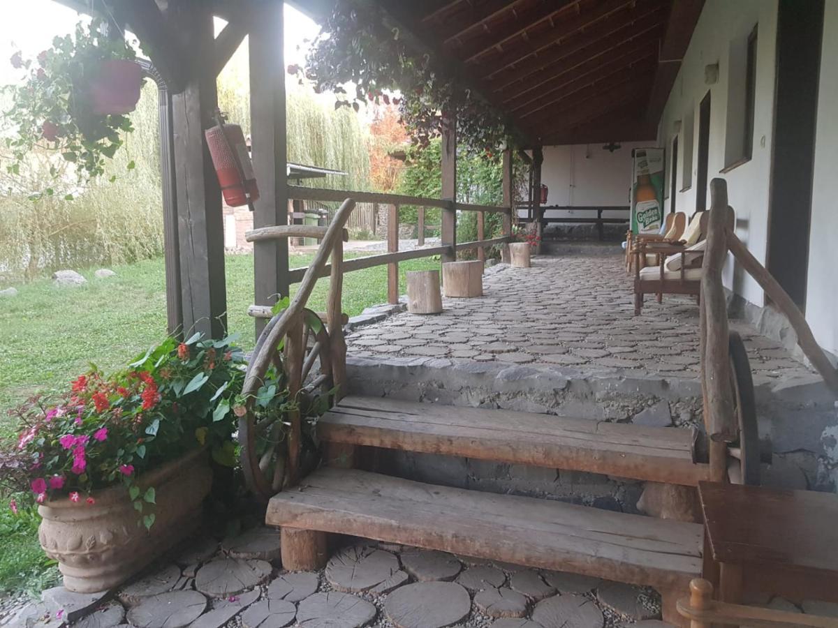 Vila Sura Razoare Sighisoara Exterior photo