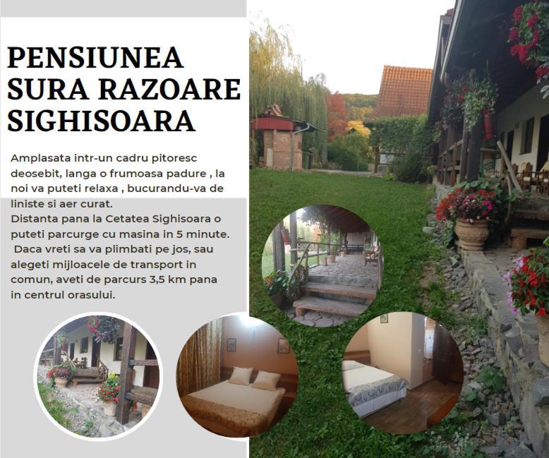 Vila Sura Razoare Sighisoara Exterior photo